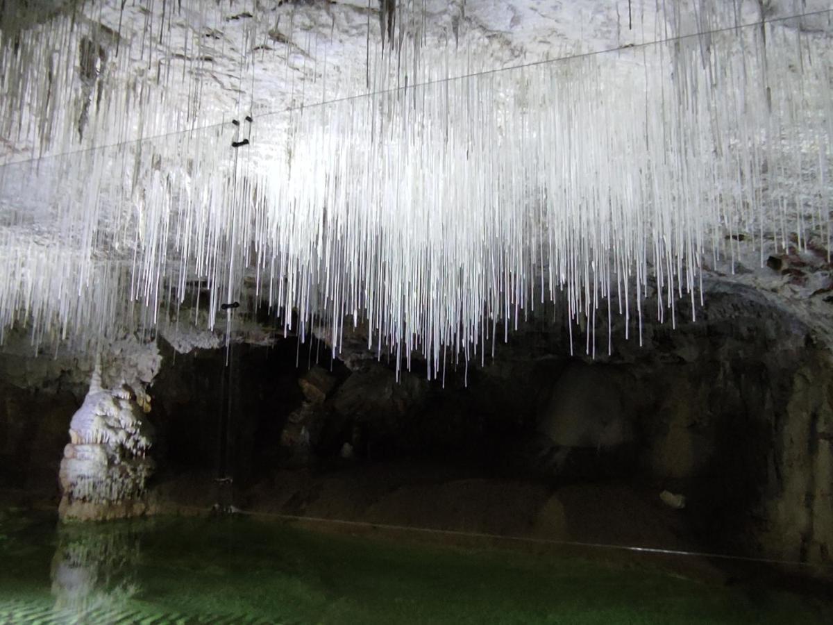 Chambre Genissieux, Vue Sur Vercors 外观 照片